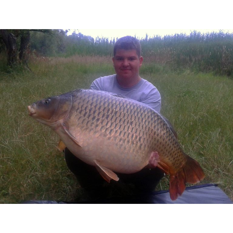 A harmadik nap hajnalában érkezett óriás!