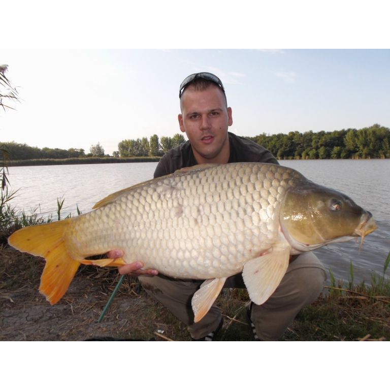 11,88 kg-os Tőponty, a mai legnagyobb