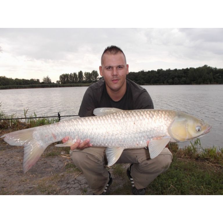 7,96 kg-os Amur, az idei évben fogott 100. nagytestű halam