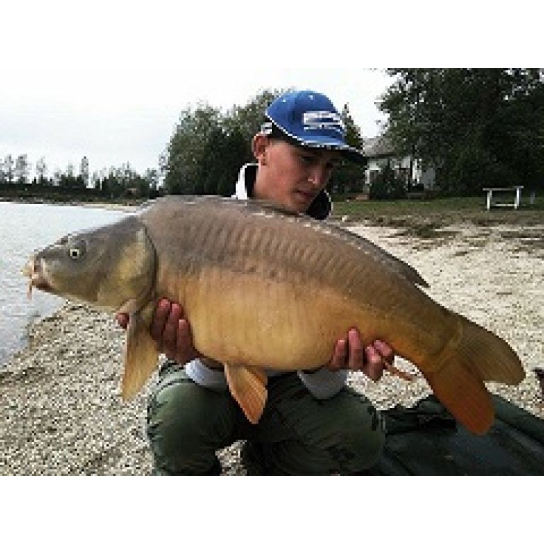 9,5 kilós Füzitői harcos