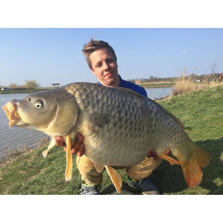 11,90 kg