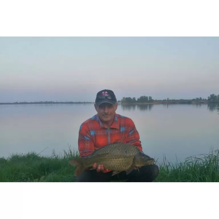  Hybrid Method Pellet - Édes Ananászra éhezett meg. Az etetőanyag pedig a megrendelt By Döme TEAM FEEDER Master Carp Pro 390LC + ajándék hideg vízi csomagból megmaradt Fagyos Ponty kaja.