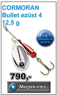 CORMORAN Bullet ezüst 4 - 12,5 g