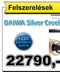 DAIWA Silver Creek Light Spin 2,2 m