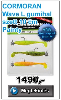 CORMORAN Wave L gumihal szett 10 cm - Painty