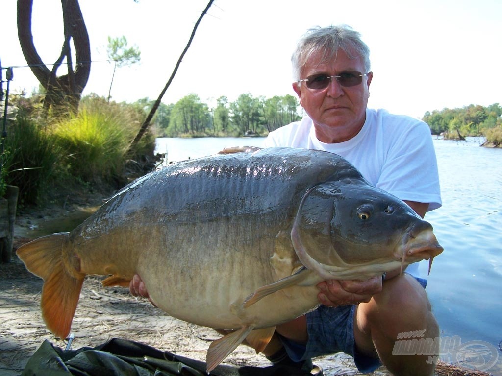 Egy újabb 20 kg feletti példány