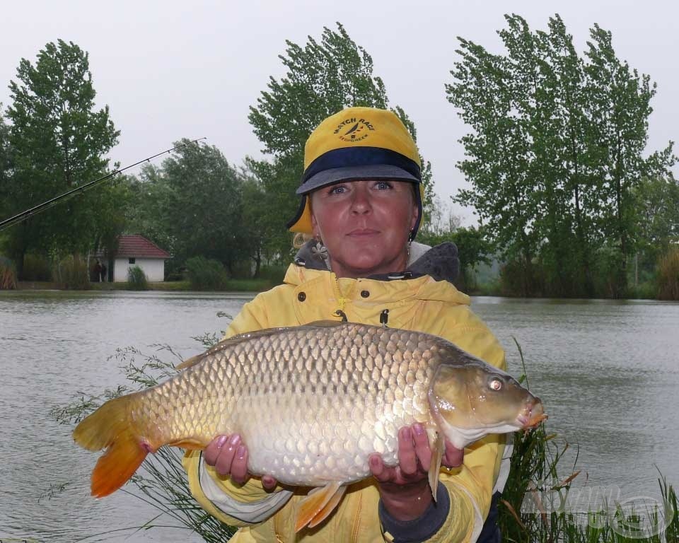 Simon Szelina a férfiaknál megszokott ügyességgel terelte szákba a pontyokat és nyerte első nap szektorát!