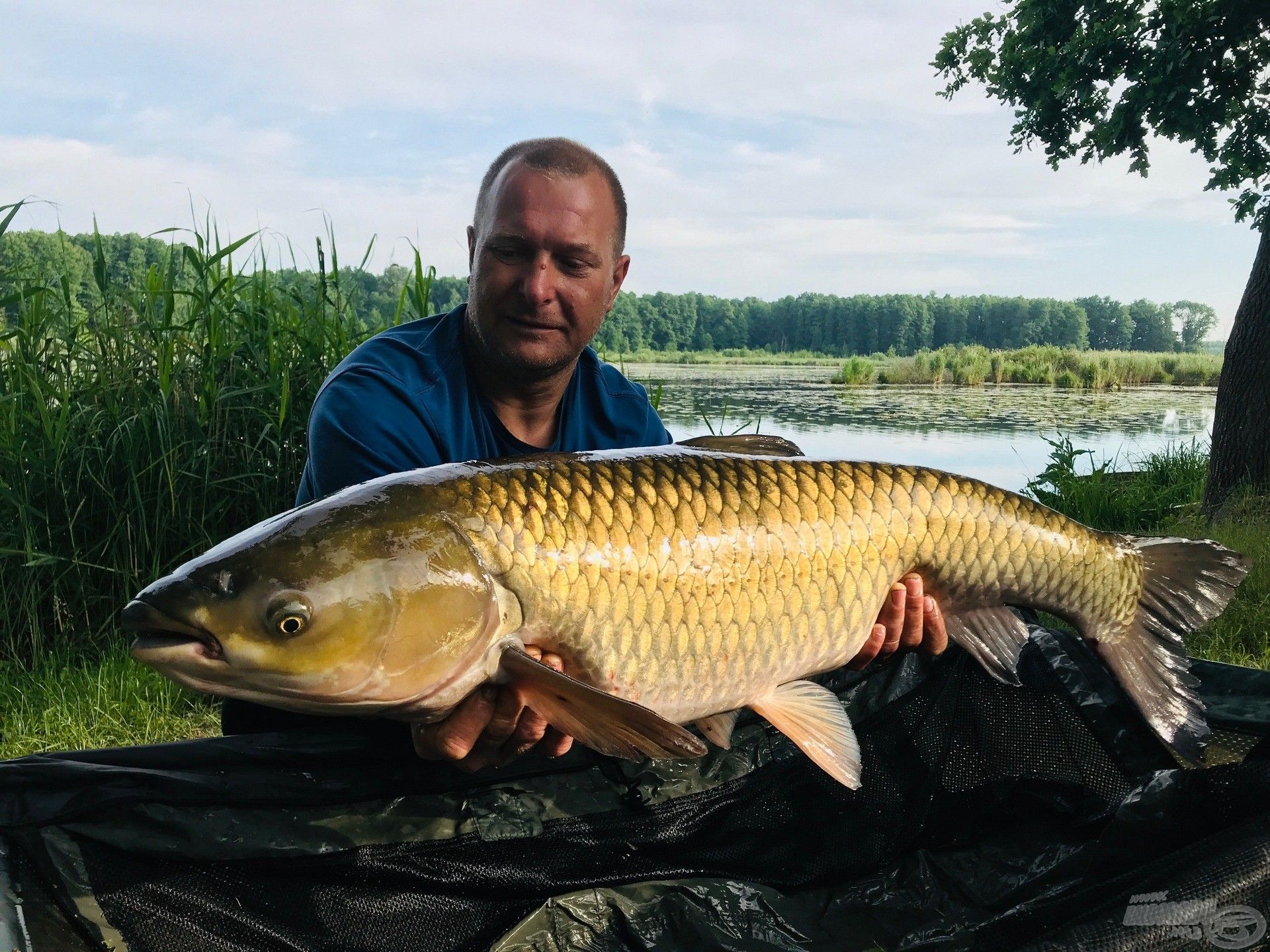 István huncut amurja, ami még egyszer a merítőből is megszökött! :)