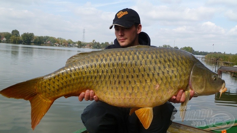 A második rekorddöntő halat a vadregényes Ráckevei (Soroksári)-Dunán a téli szériát erősítő Monster Crab ízesítésű golyóval csalta lépre. E vadvízi „energiabomba” súlya 18,5 kg volt!