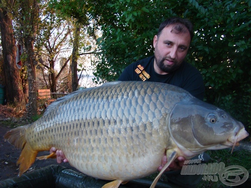 Alapítói rekorddöntés Hatvanban: 25,1 kg! A pikkelyes gyönyörűség egy új, tesztelés alatt álló, rákos-tintahalas jellegű golyóra érkezett