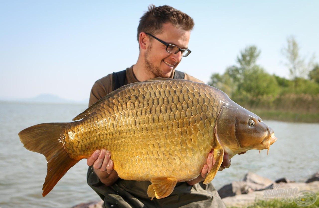 A Korda csapatból egész napos bemutatót tart a standon Neil Spooner…