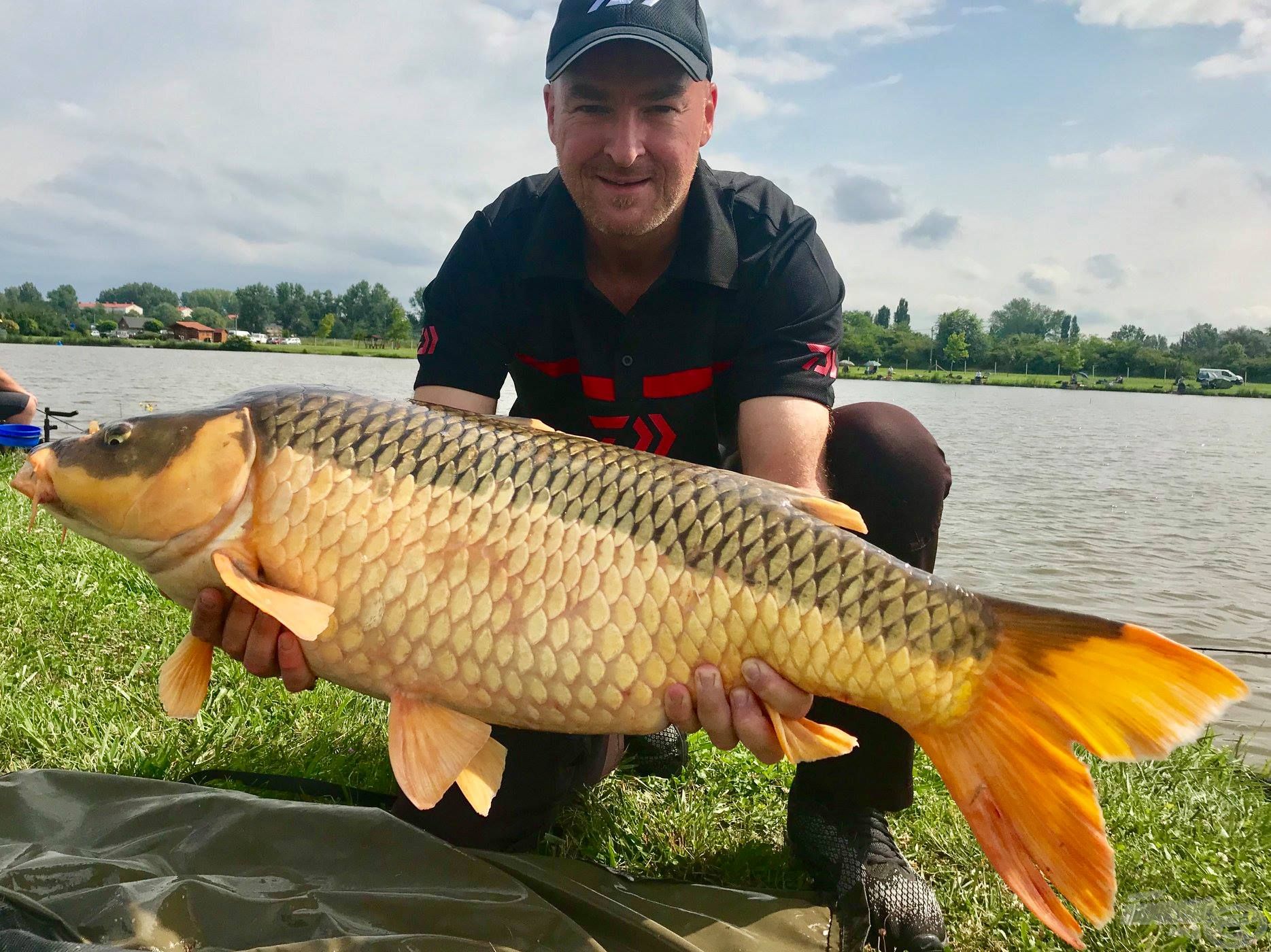 Termetes pontyok is lakják az Ezüst-tavat! A nyári verseny legnagyobb halát Rigó Péter fogta – a ritka szép koi ponty, az Ezüst-tó kincse –, ezen a napon 13.310 grammal lett mérlegelve!