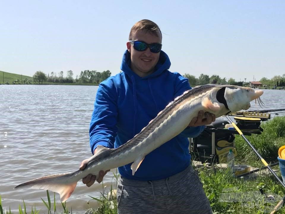 A tó legelső szektoraiban egy-egy beugró tokhal is nagyot tudott lendíteni a végeredményen