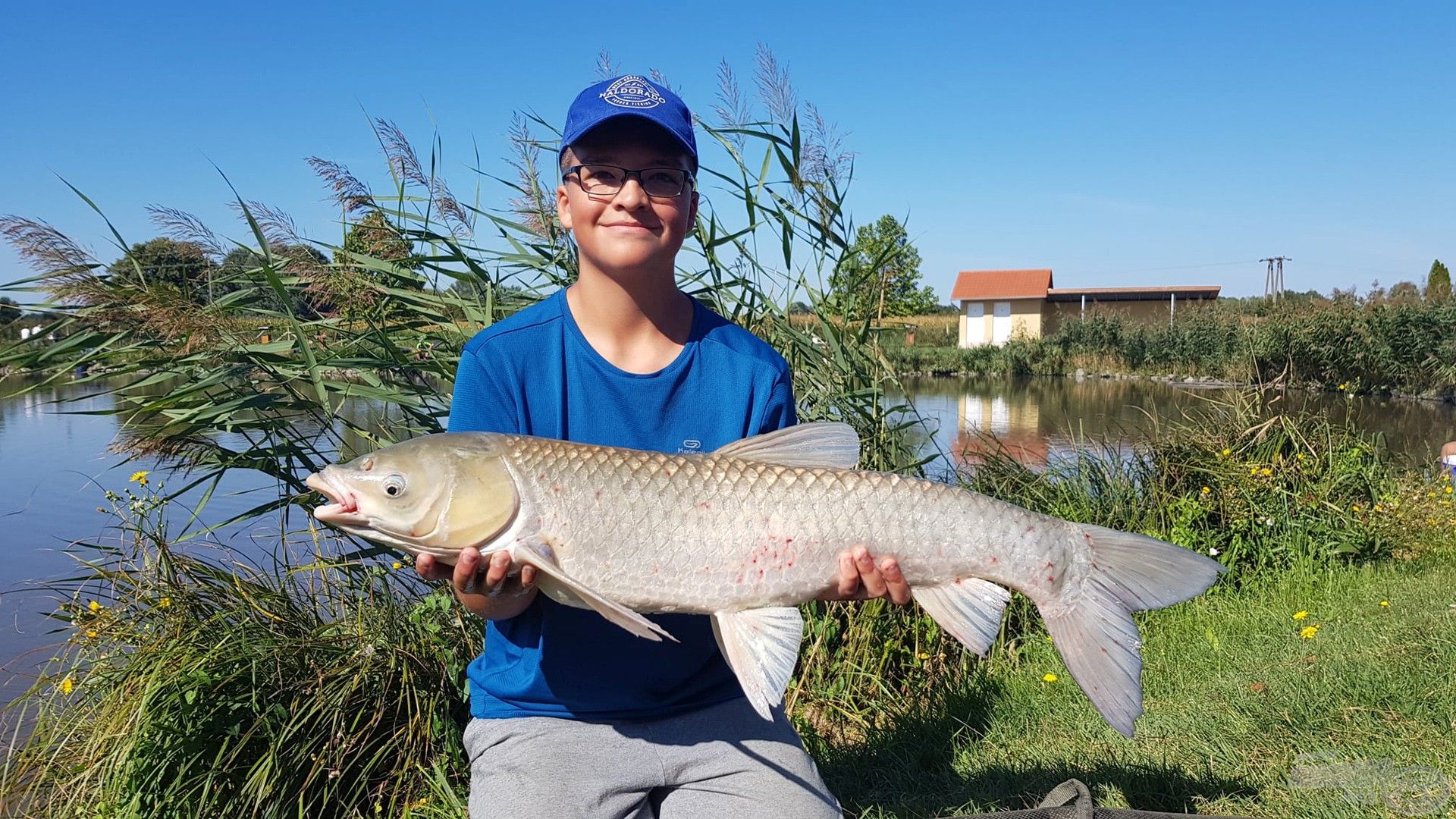 Kiemelkedő a tó amurállománya! E halak már a tavaszi, nyári és őszi fordulóban is okoztak meglepetést. Talán így lesz télen is?