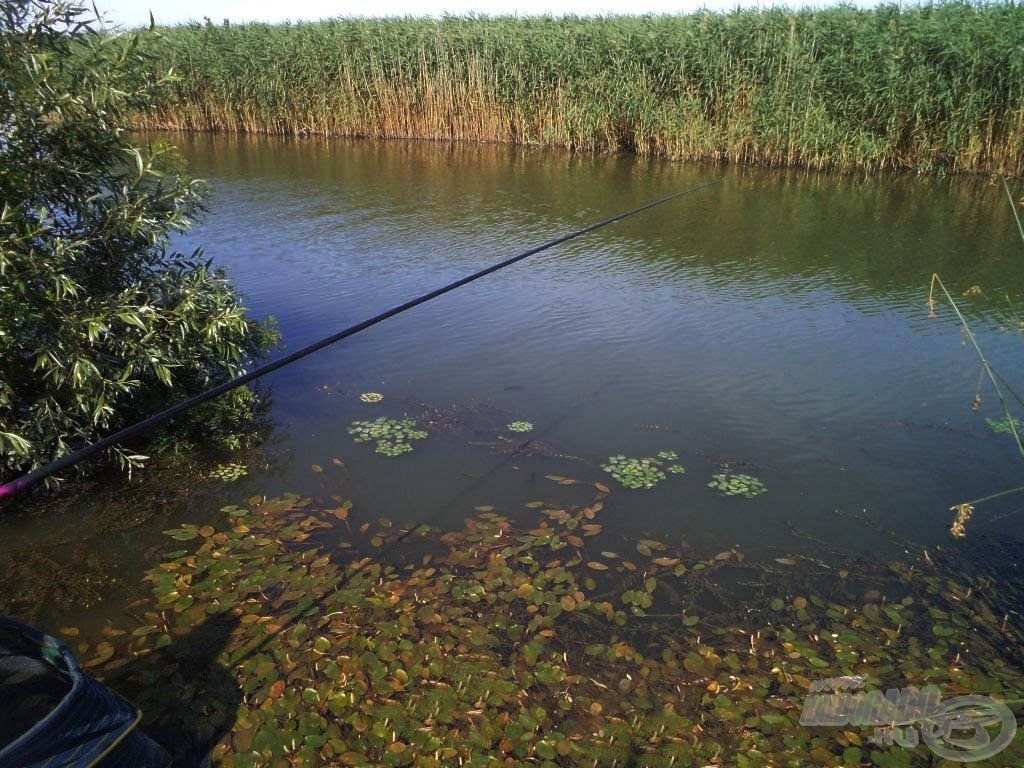 Gyönyörű horgászhely!