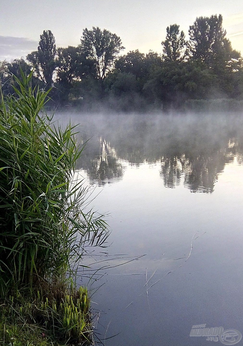 Őrbottyáni Horgásztó, ahol lefektettem az alapokat