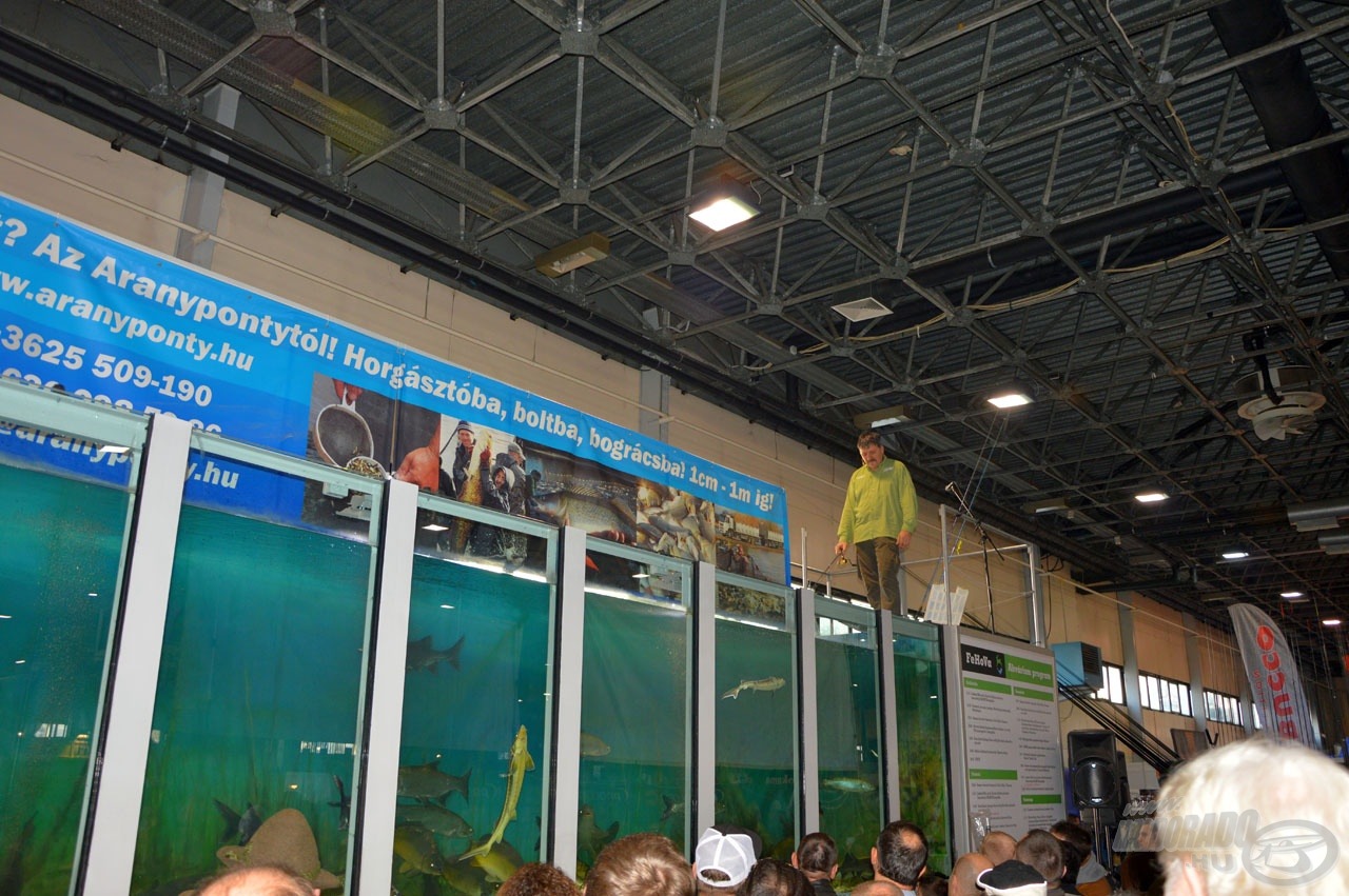 Az óriás akvárium látványos műcsali bemutatóknak adott helyet