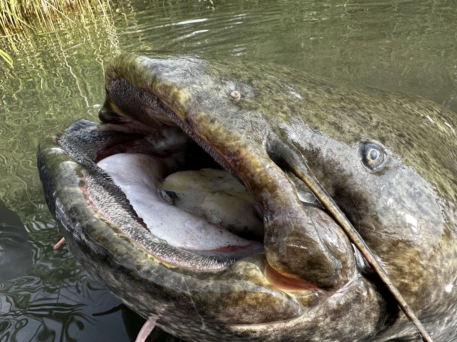 Viszlát, öreg barátom! Ennél méltóbb módon nem is búcsúzhattunk volna a Legend Lake-től