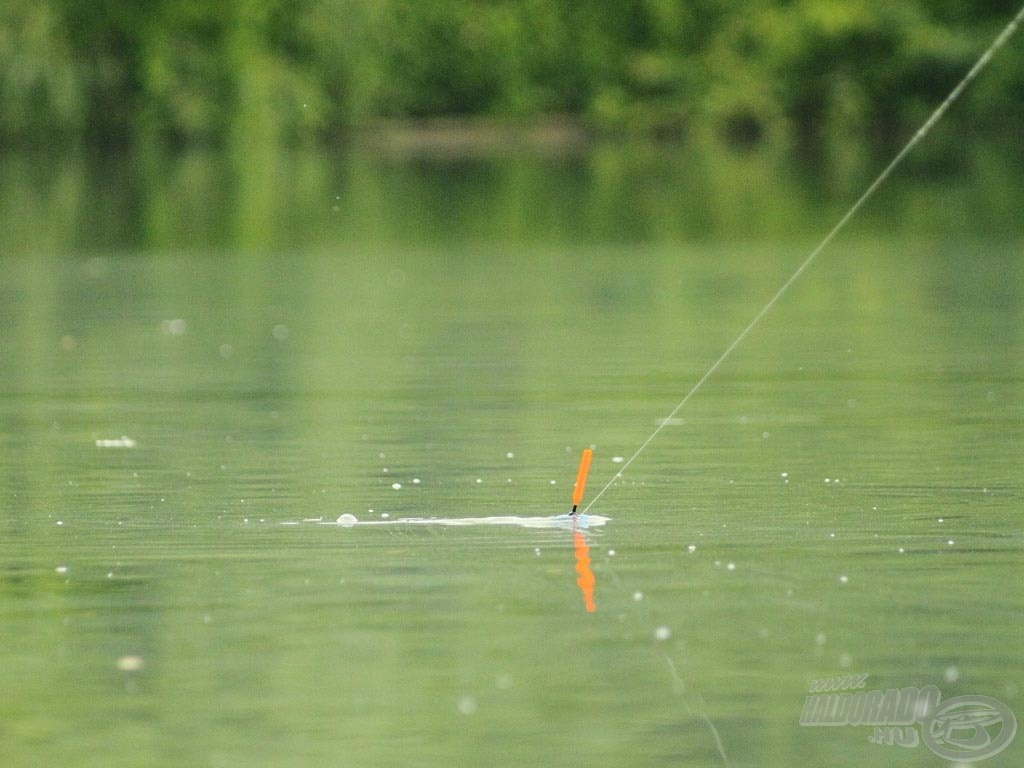 A sleppelés lényege, hogy a folyásnak felfelé húzzuk meg az úszót, ami kialakítása miatt nem kifelé, a part felé mozdul el, hanem a parttal párhuzamosan - ilyenkor a csali fellibben