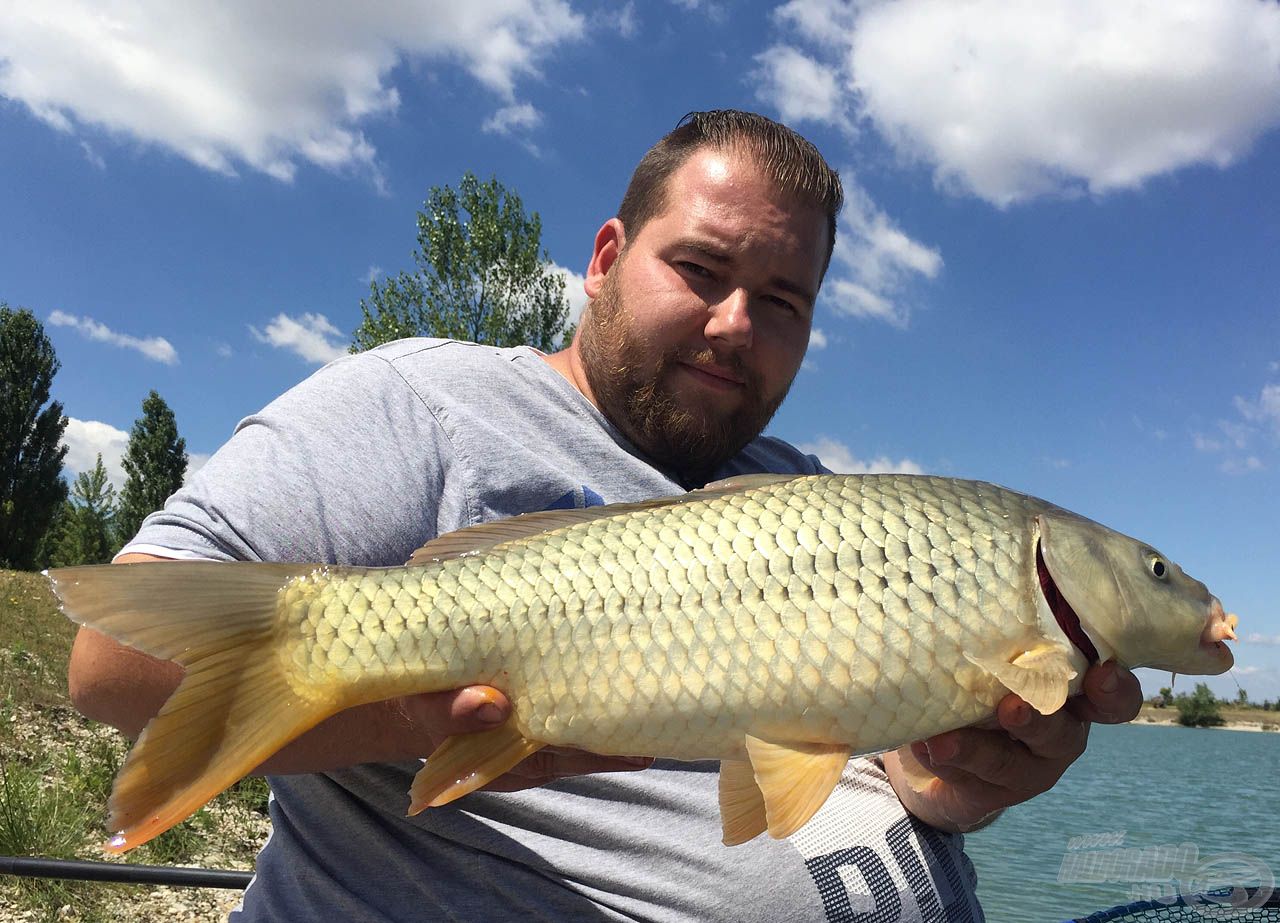 A tejsavas erjesztésű kukorica és a Fluo Micro Method Feed Pellet bizonyult a leghatékonyabbnak...