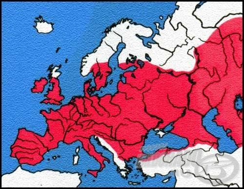 Európa nagy részén megtalálható