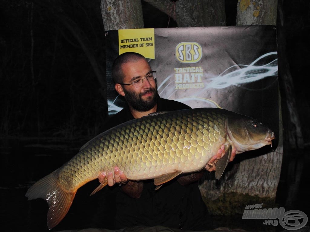 A hosszú testű töves, súlya: 10,60 kg