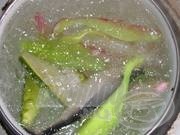 A gumihal főzés rejtelmei