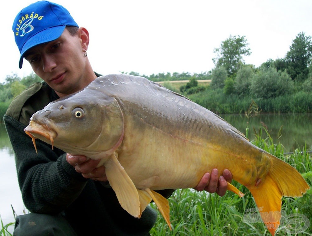 A második halunk ez a gyönyörű, 9,5 kg-os tükörponty