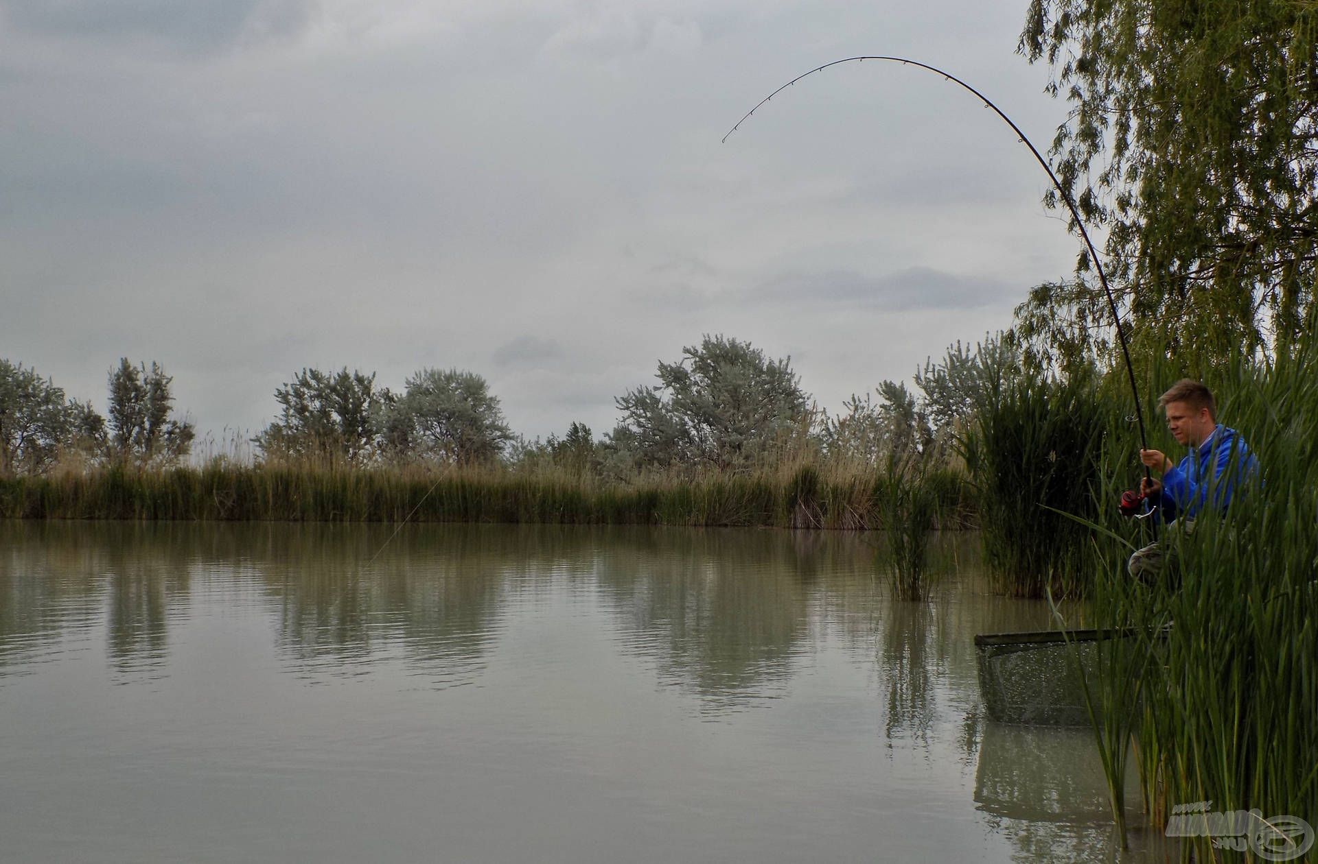 A harcos sziki pontyok