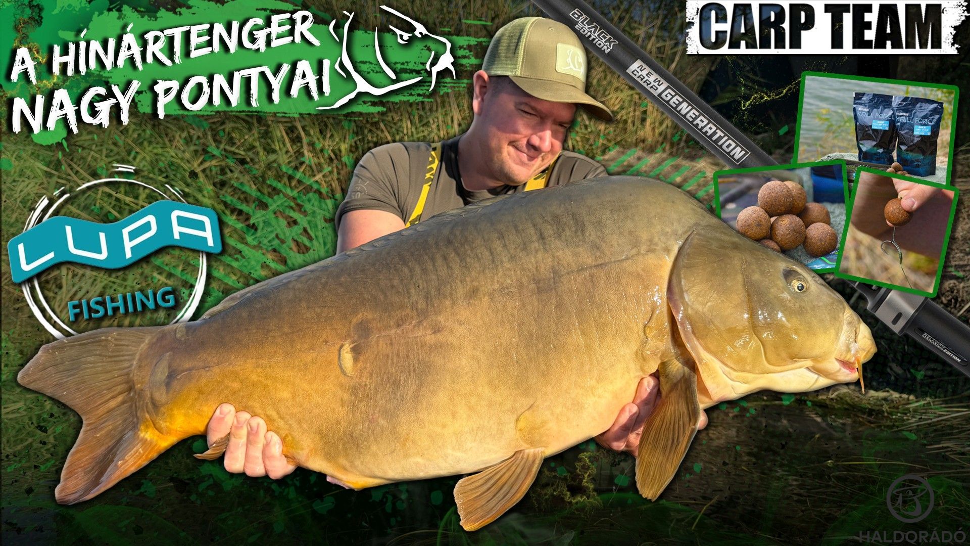 A hínártenger nagy pontyai