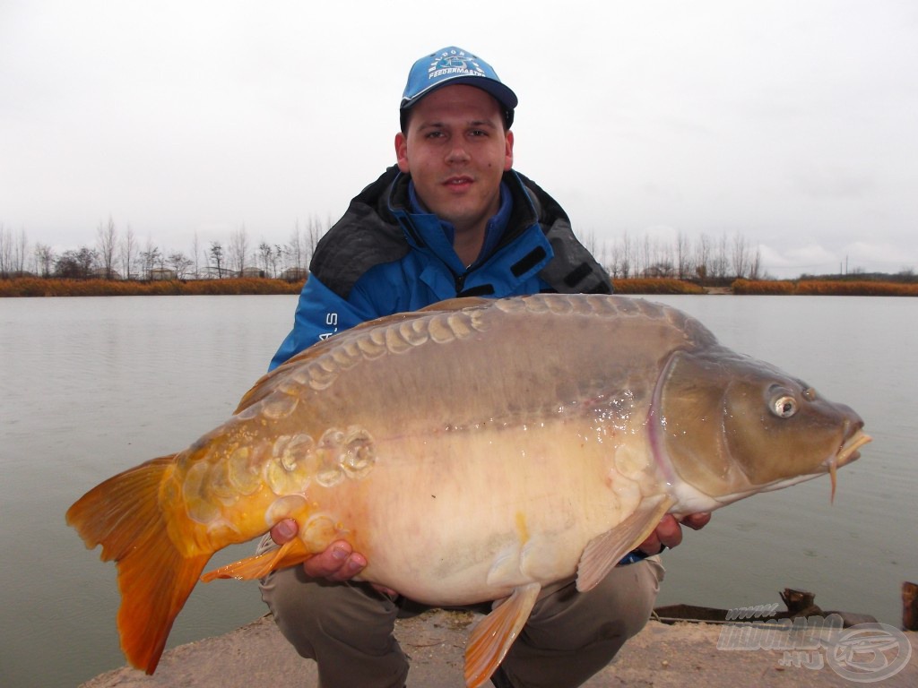 Egy újabb gyönyörű hal, ezúttal egy tükrös, közel 12 kg-ot nyomott