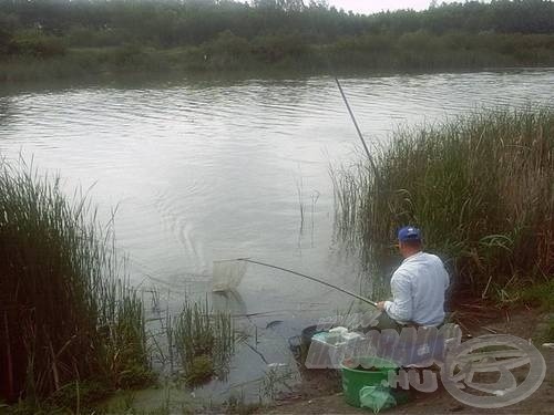 Csatornákon is találkozhatunk vele