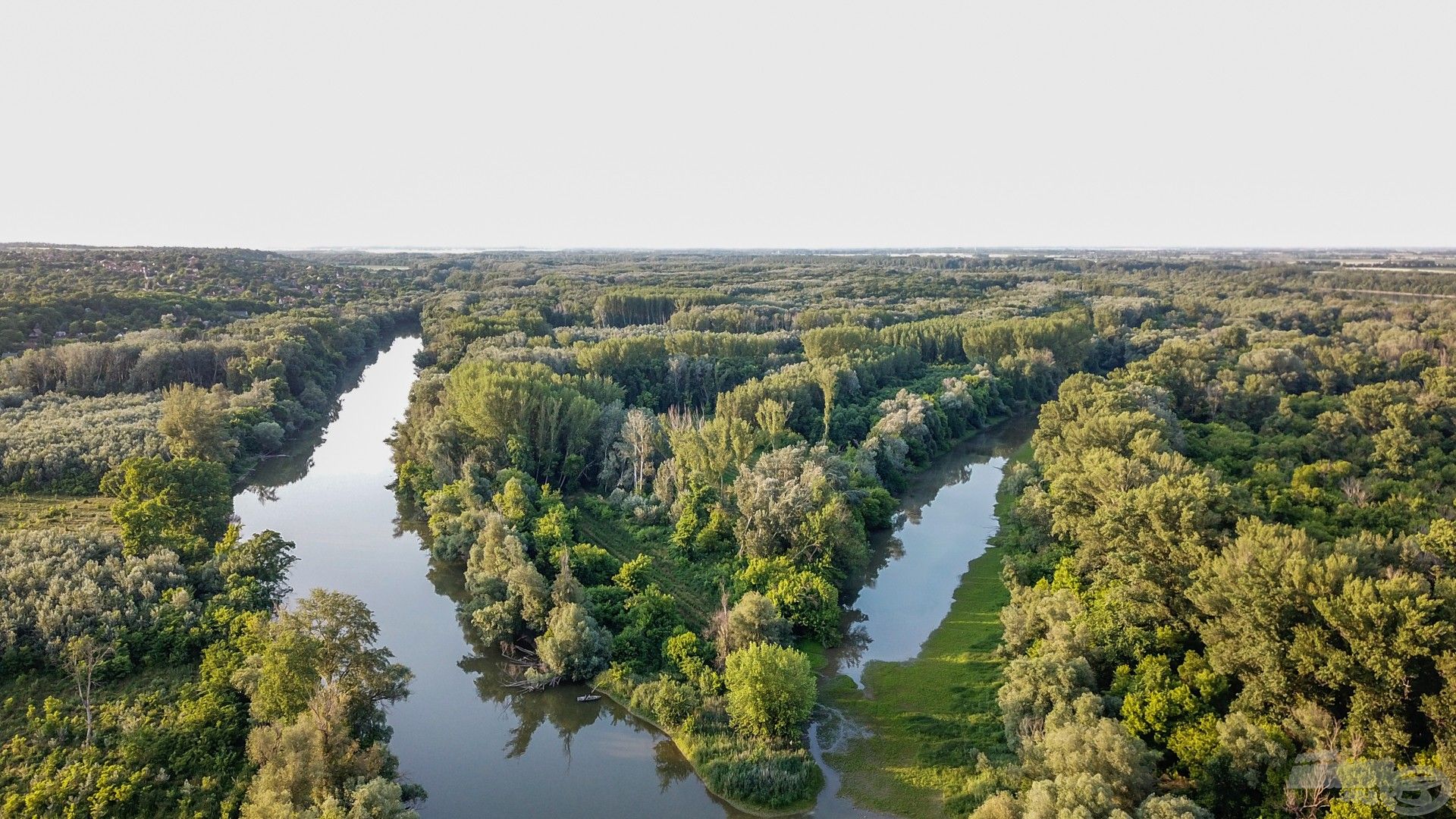 Több részen is elágazik, partja telis tele van bedőlt fákkal
