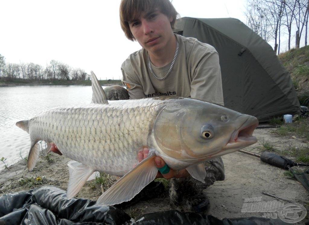 A meglepi amur: 9,5 kg