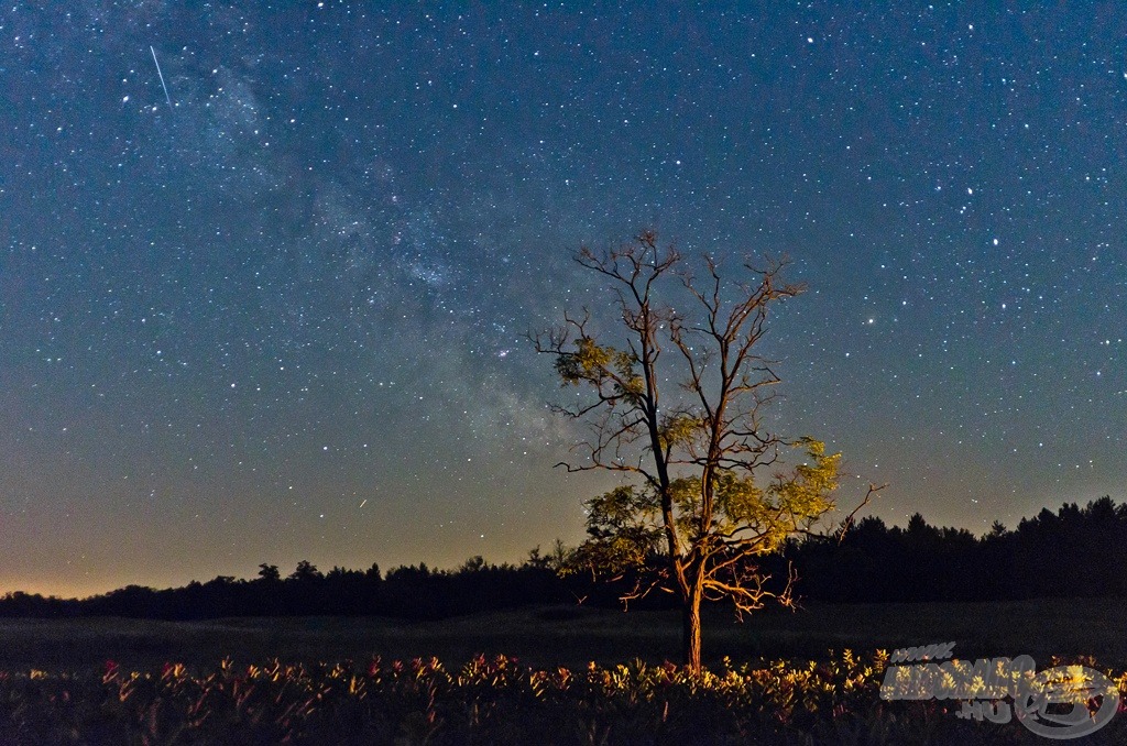 Magányos akácfa a meteorral