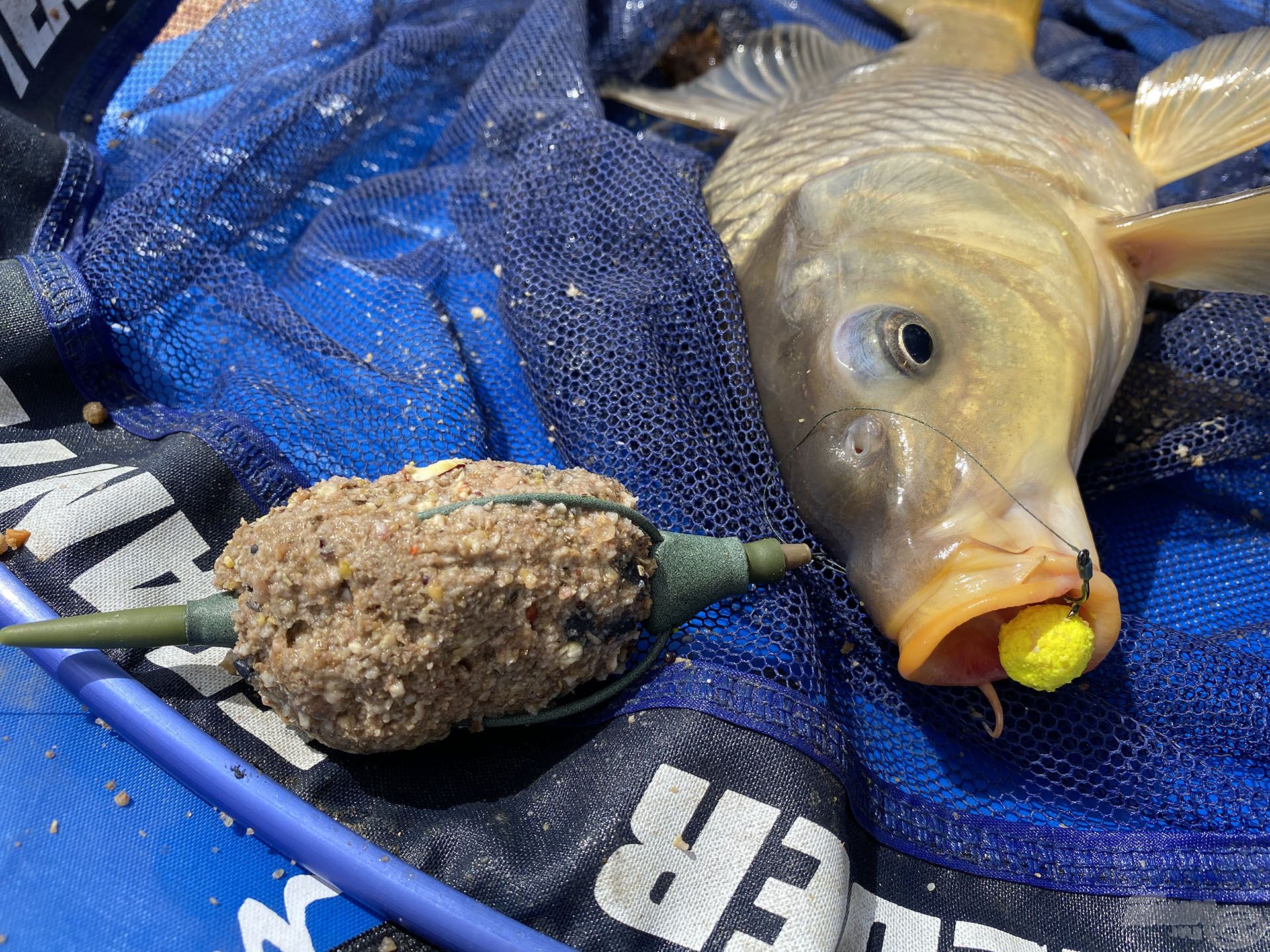 A megoldást és az átütő sikert az hozta, hogy a Pellet Feeder Complete kosárba sok kaját gyúrtam, nagy gombócokat dobtam be megközelítőleg egy helyre