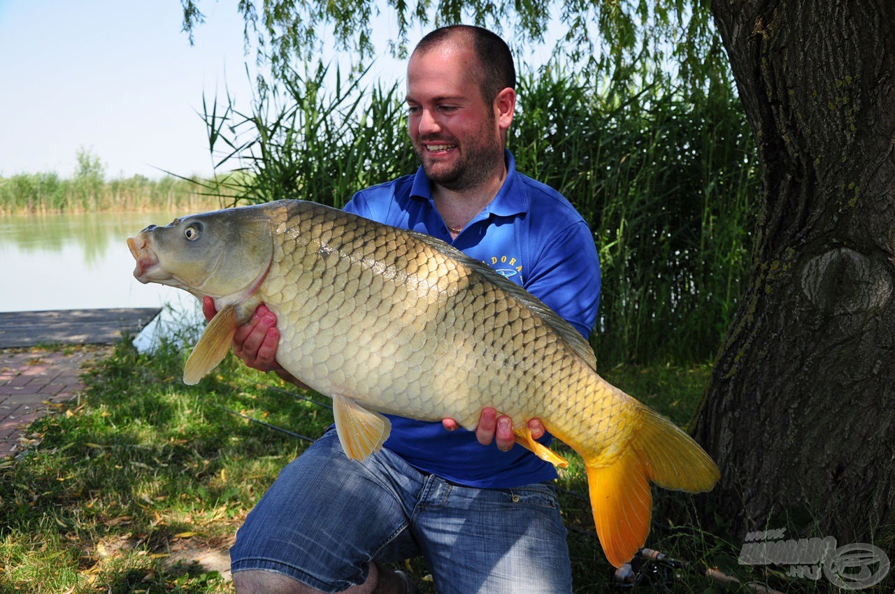 A pontyok is szeretik a csípőset?