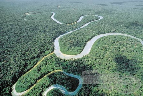 Amazonas