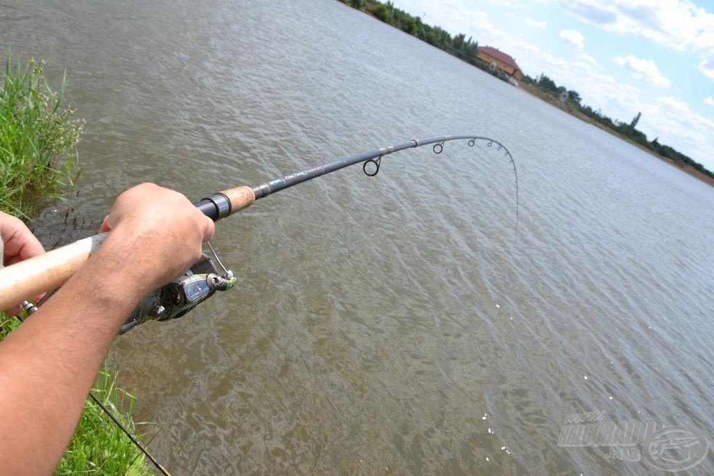 A kisebb pontyokat is percekig kellett fárasztani