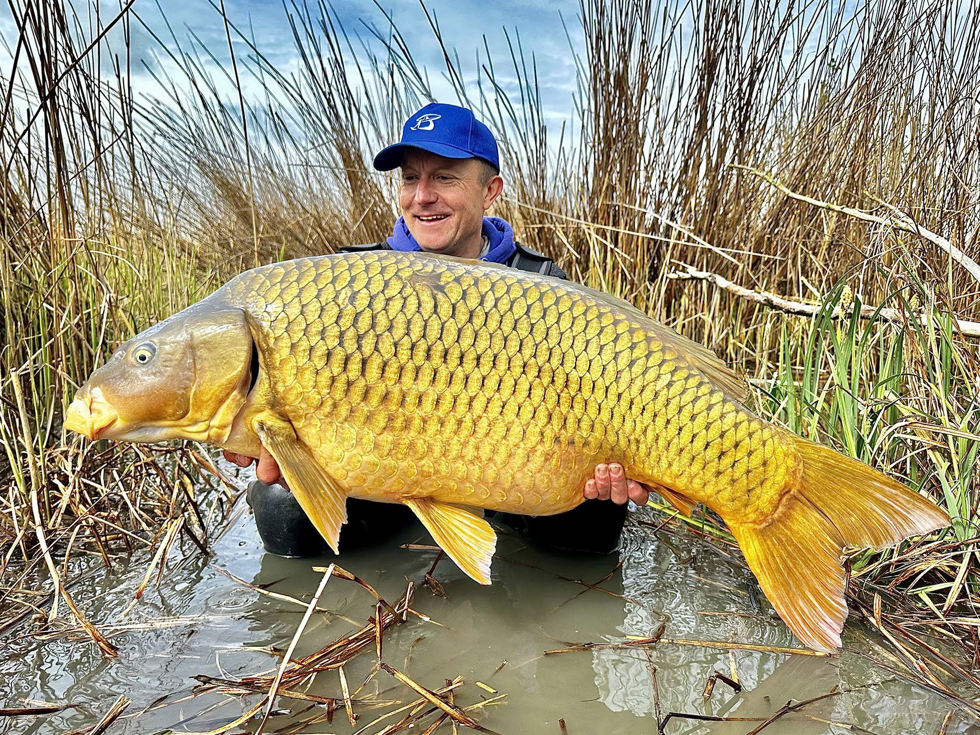 Áprilisban sikerült megfognom új balatoni rekord pontyomat, egy 23,61 kg súlyú tőpontyot!