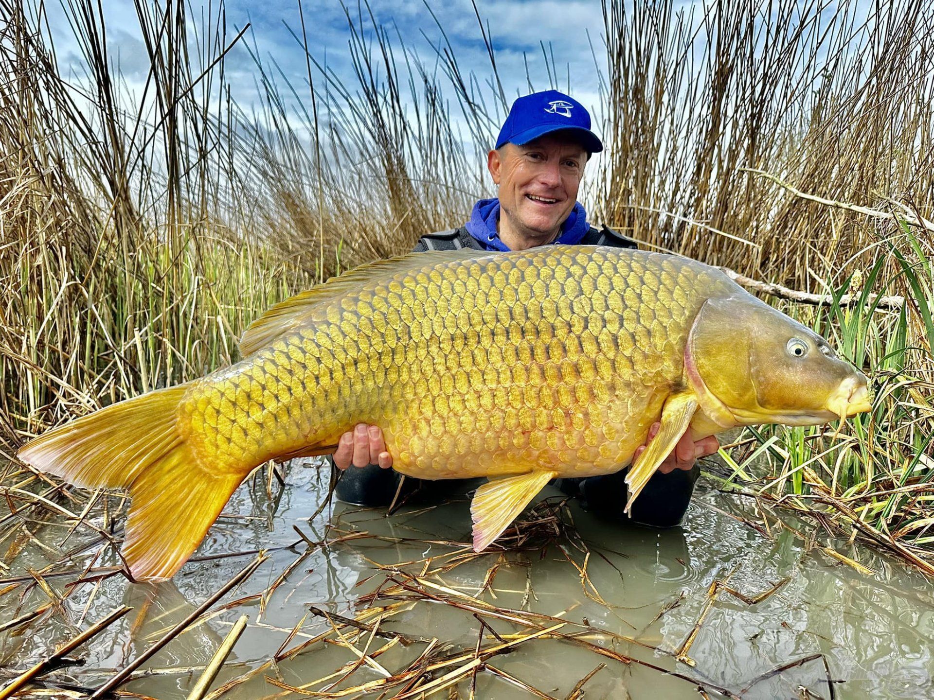 Ezzel sikerült megfognom új balatoni rekordomat is, ezt a 23,61 kg súlyú gyönyörű tőpontyot