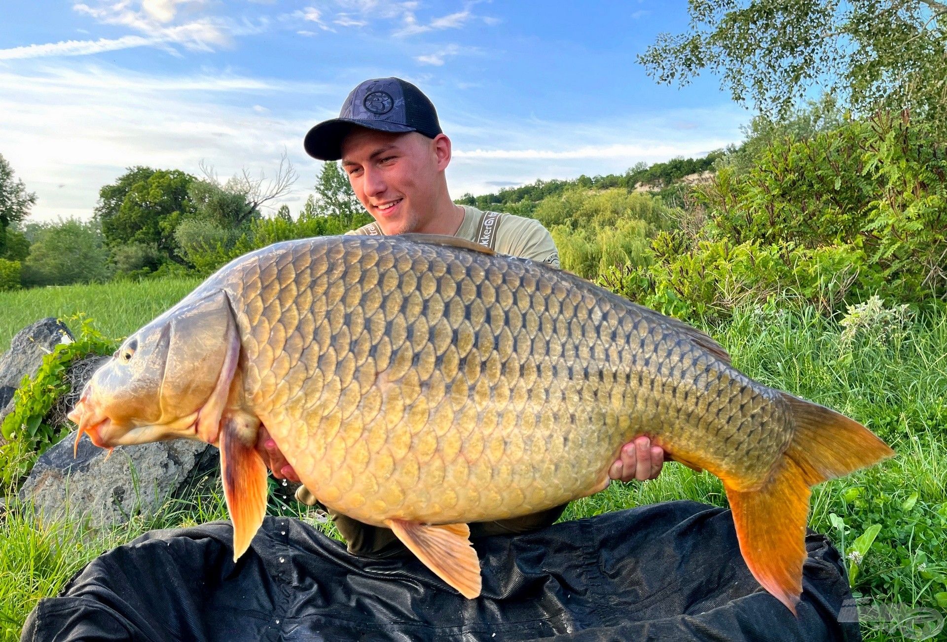 20 kiló felett a Balaton keleti medencéjében is