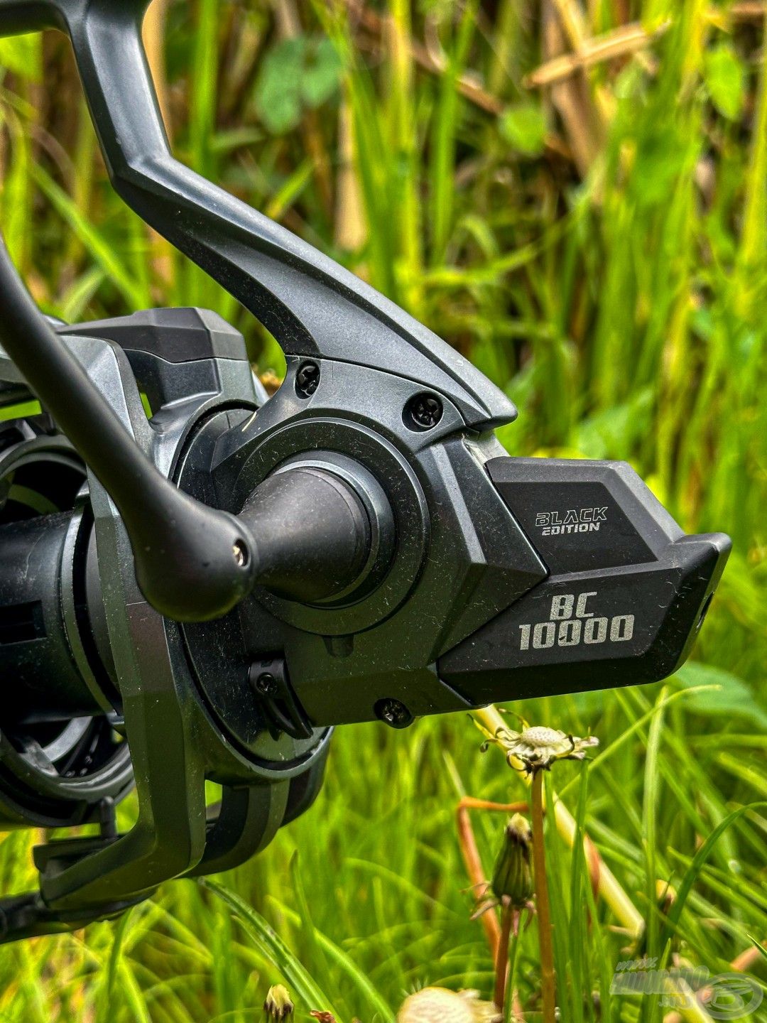 A BC 10000 divatos