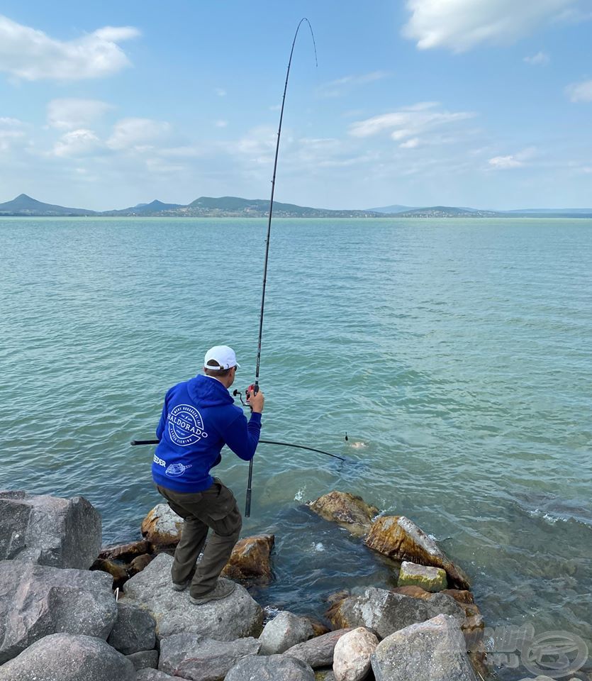 A Balaton parti kövezéseknél bizony elkél a hosszú merítő nyél!