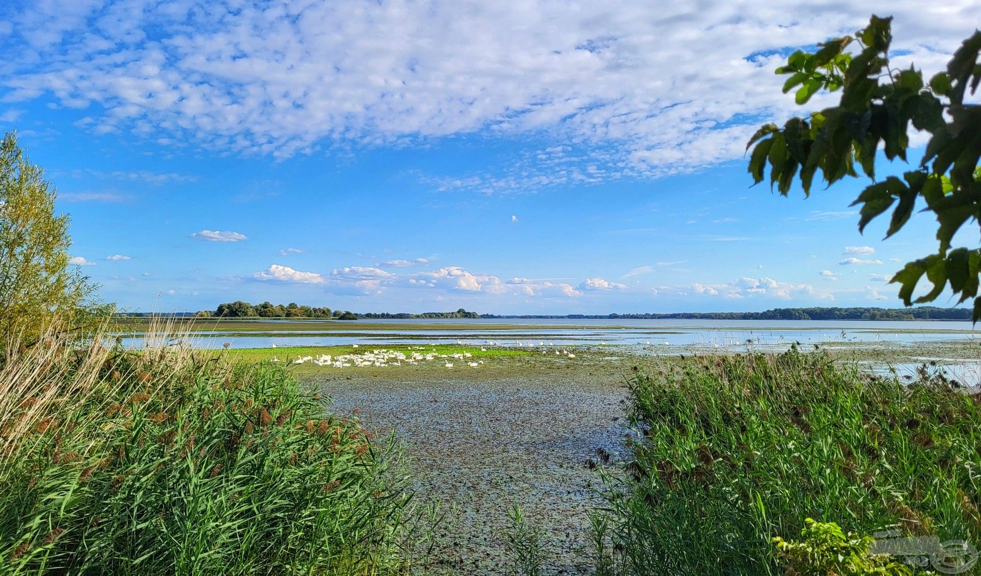 A búcsú ideiglenes a Kis-Balatontól, jövőre újra találkozunk