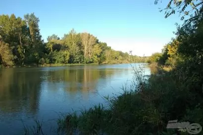 A Szigetköz varázsa pontyhorgász szemmel 2. rész