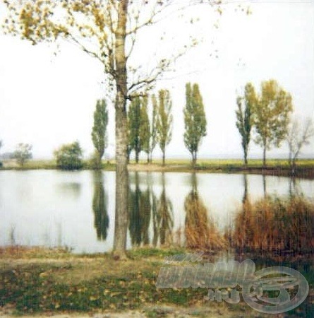 A tó látképe
