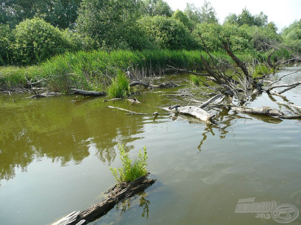 A természet rendje