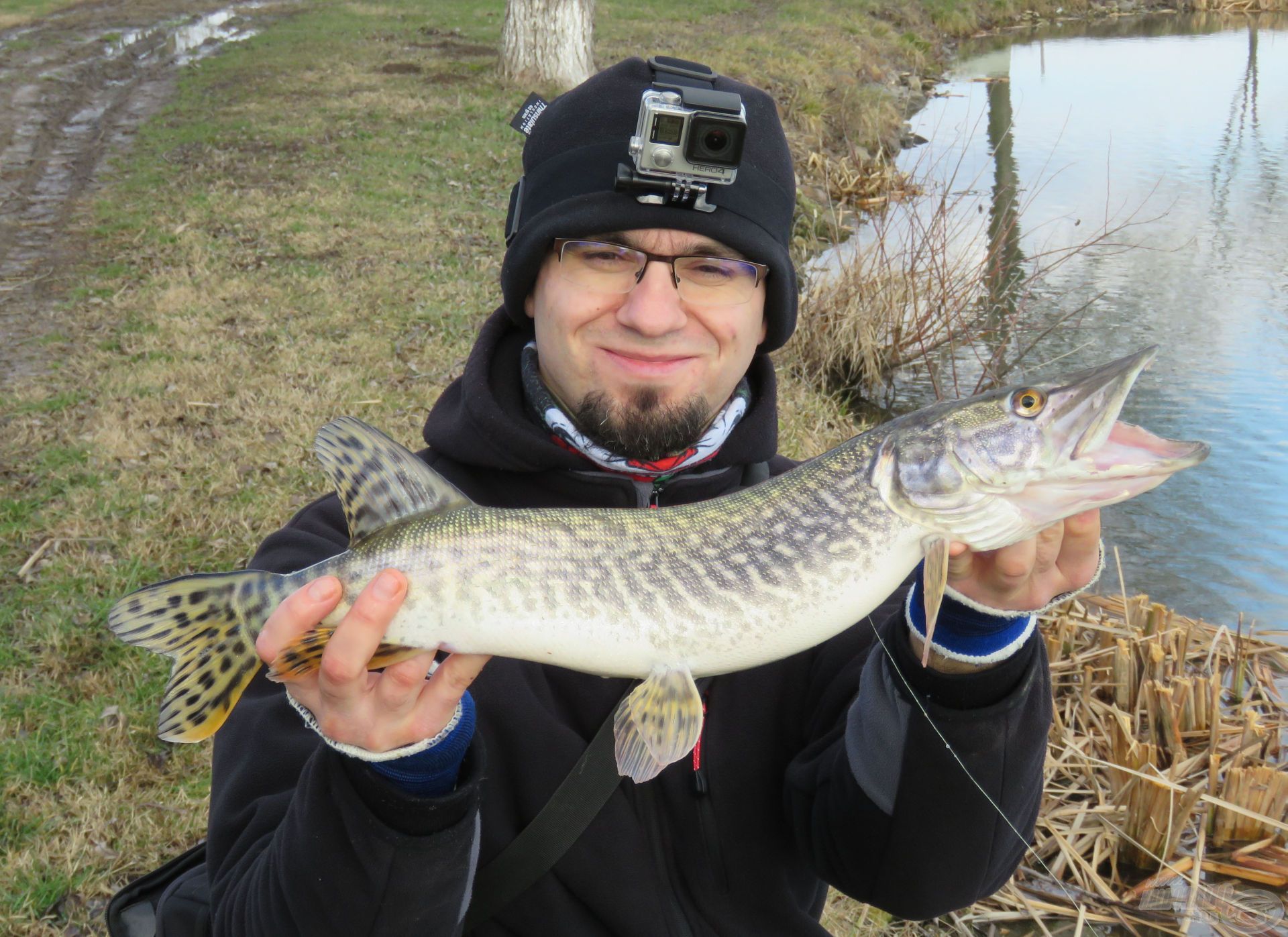 Az első nap az 1 kg körüli példányok voltak többségben