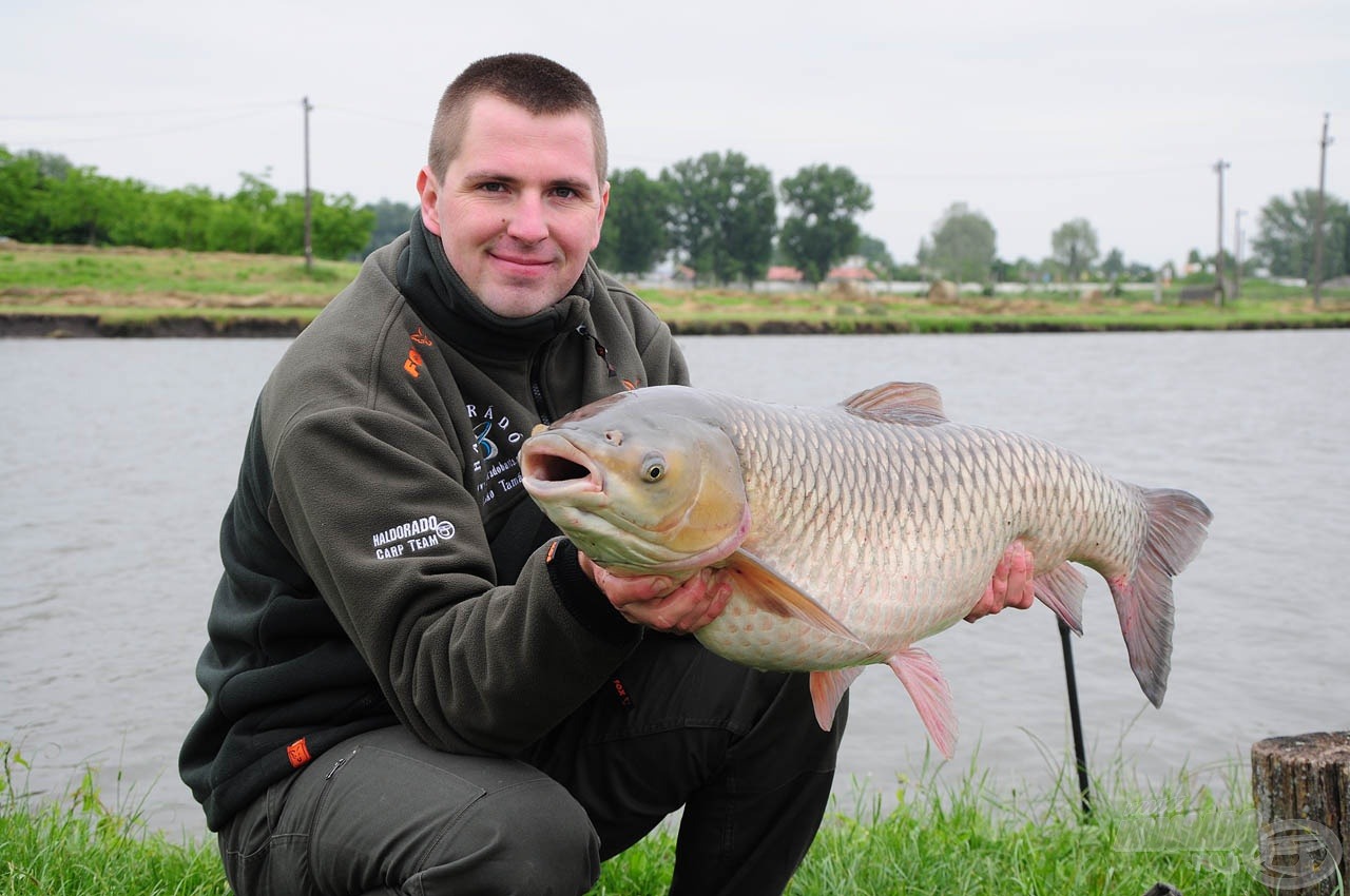 Az eredmény se váratott sokat magára, egy hatalmas amur éhezett meg a Big Fish bojlira